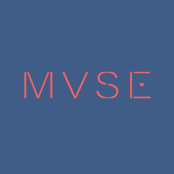 What is MVSE?
